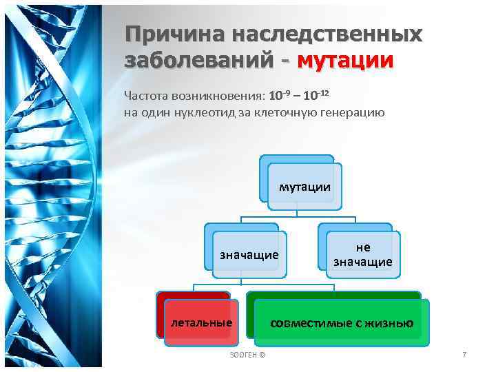 Причина наследственных заболеваний - мутации Частота возникновения: 10 -9 – 10 -12 на один