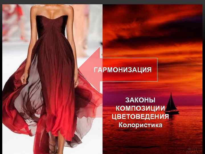 ГАРМОНИЗАЦИЯ ЗАКОНЫ КОМПОЗИЦИИ ЦВЕТОВЕДЕНИЯ Колористика 