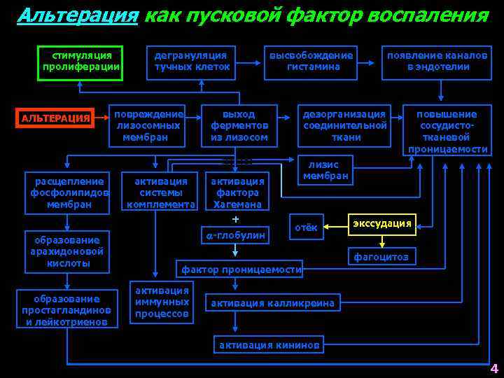 Альтерация как пусковой фактор воспаления стимуляция пролиферации АЛЬТЕРАЦИЯ расщепление фосфолипидов мембран образование арахидоновой кислоты