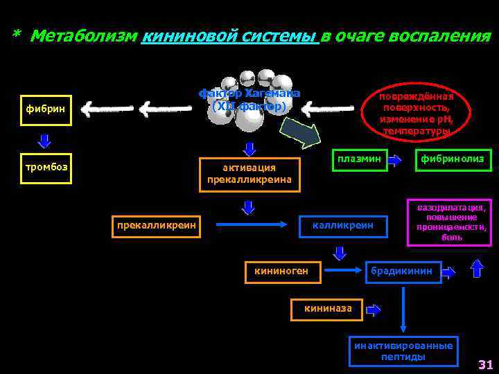 * Метаболизм кининовой системы в очаге воспаления фактор Хагемана (XII фактор) фибрин тромбоз повреждённая