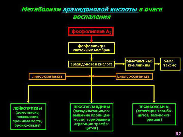 Метаболизм арахидоновой кислоты в очаге воспаления фосфолипаза А 2 фосфолипиды клеточных мембран арахидоновая кислота