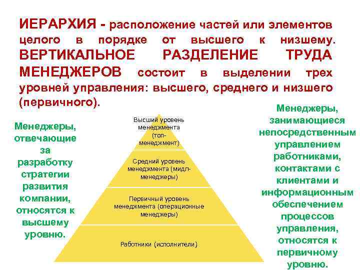 Иерархическая схема размещения составных частей документа