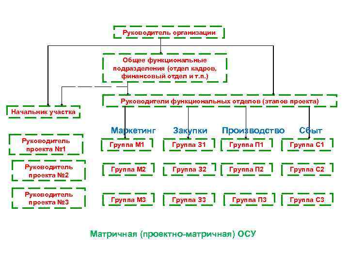 Руководитель организации Общее функциональные подразделения (отдел кадров, финансовый отдел и т. п. ) Руководители