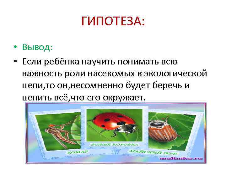 ГИПОТЕЗА: • Вывод: • Если ребёнка научить понимать всю важность роли насекомых в экологической