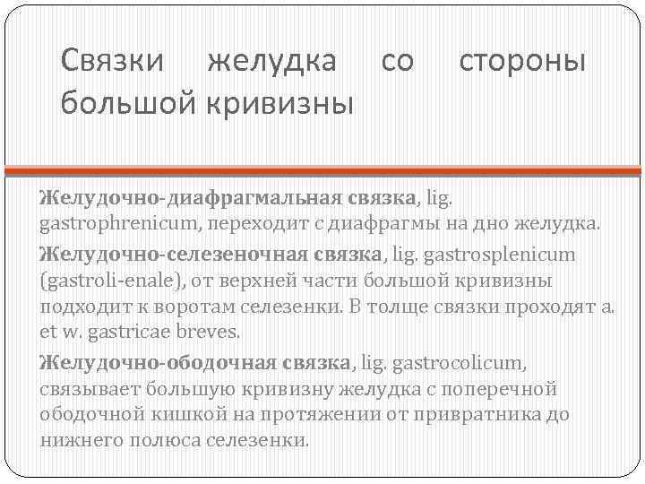 Связки желудка со большой кривизны стороны Желудочно-диафрагмальная связка, lig. gastrophrenicum, переходит с диафрагмы на