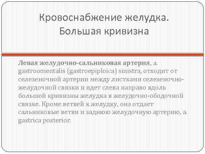 Кровоснабжение желудка. Большая кривизна Левая желудочно-сальниковая артерия, a. gastroomentalis (gastroepiploica) sinistra, отходит от селезеночной