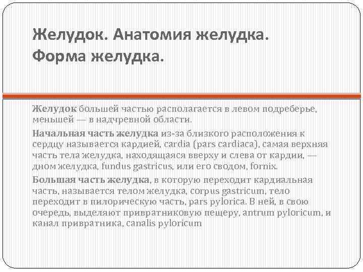 Желудок. Анатомия желудка. Форма желудка. Желудок большей частью располагается в левом подреберье, меньшей —