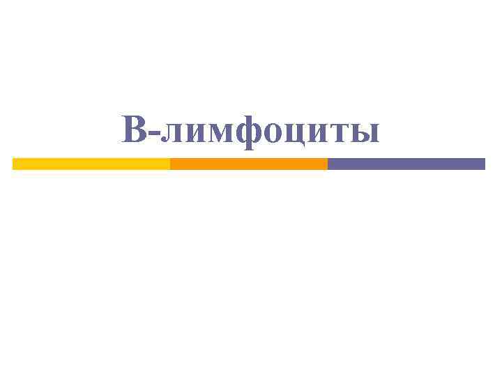 B-лимфоциты 