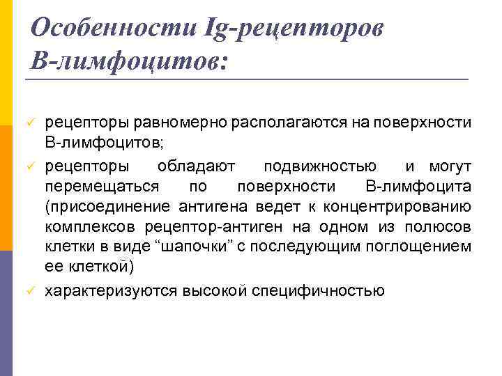 Особенности Ig-рецепторов В-лимфоцитов: ü ü ü рецепторы равномерно располагаются на поверхности В-лимфоцитов; рецепторы обладают