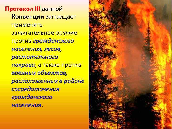 Протокол III данной Конвенции запрещает применять зажигательное оружие против гражданского населения, лесов, растительного покрова,