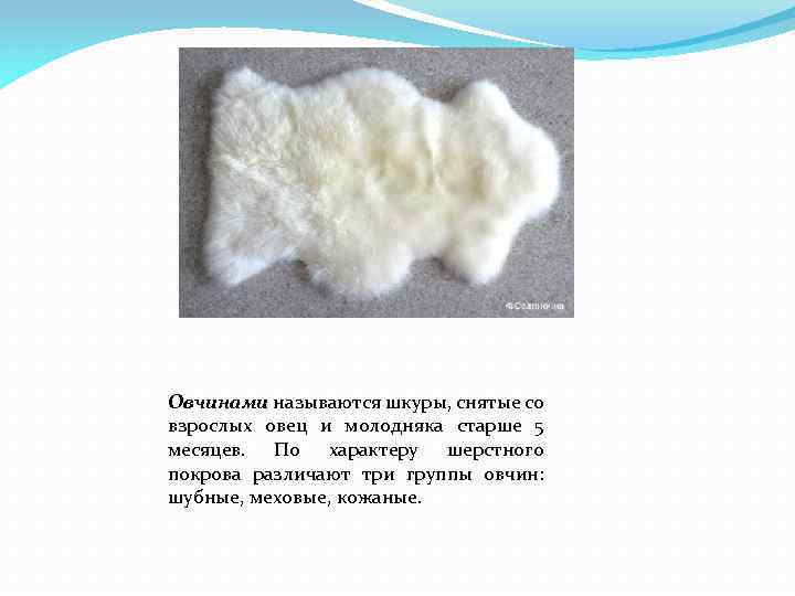Овчинами называются шкуры, снятые со взрослых овец и молодняка старше 5 месяцев. По характеру