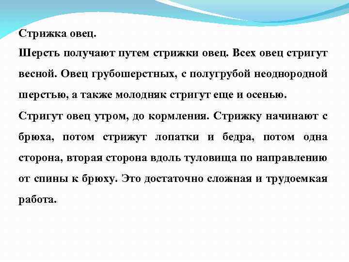 Стрижка овец. Шерсть получают путем стрижки овец. Всех овец стригут весной. Овец грубошерстных, с