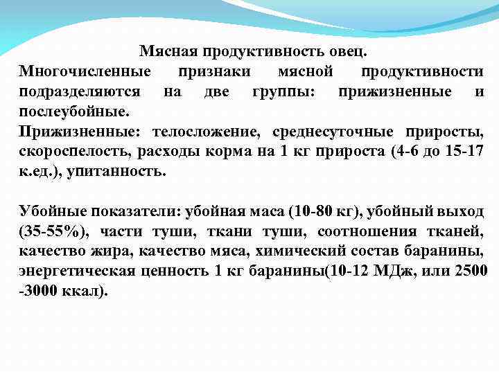 Мясная продуктивность. Мясная продуктивность овец. Мясная и молочная продуктивность овец. Определение показателей мясной продуктивности овец. Оценка мясной продуктивности овец.