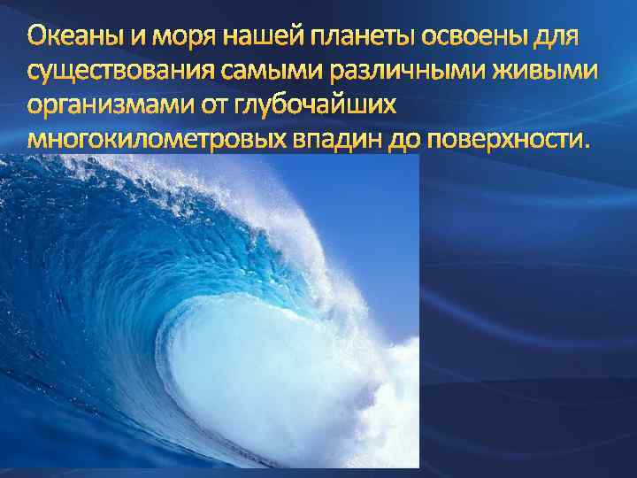 Океаны и моря нашей планеты освоены для существования самыми различными живыми организмами от глубочайших