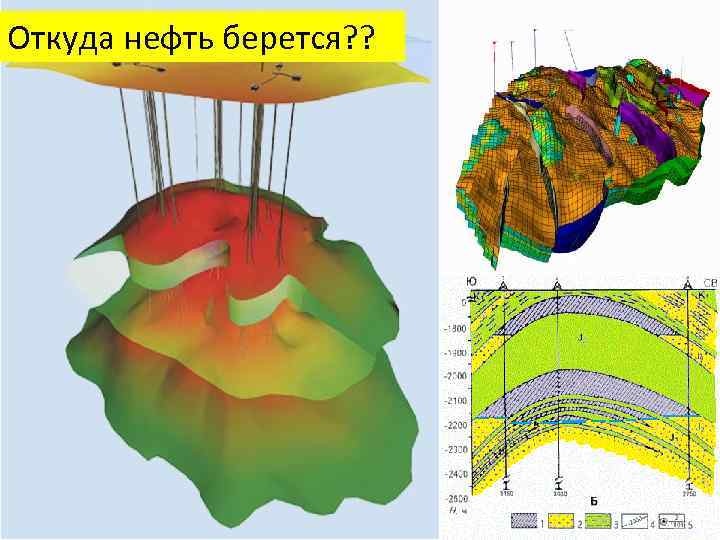 Откуда нефть берется? ? 
