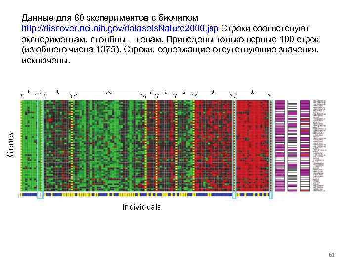 Genes Данные для 60 экспериментов с биочипом http: //discover. nci. nih. gov/datasets. Nature 2000.