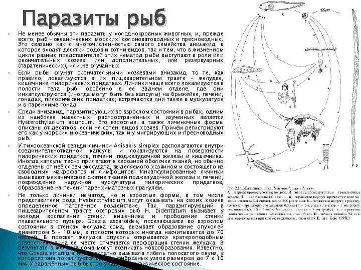  Паразиты рыб Не менее обычны эти паразиты у холоднокровных животных, и, прежде всего,