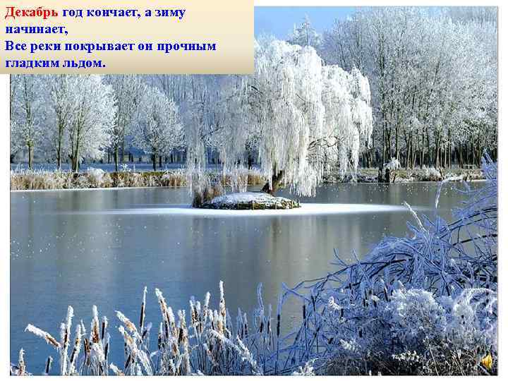 Декабрь год кончает, а зиму начинает, Все реки покрывает он прочным гладким льдом. 