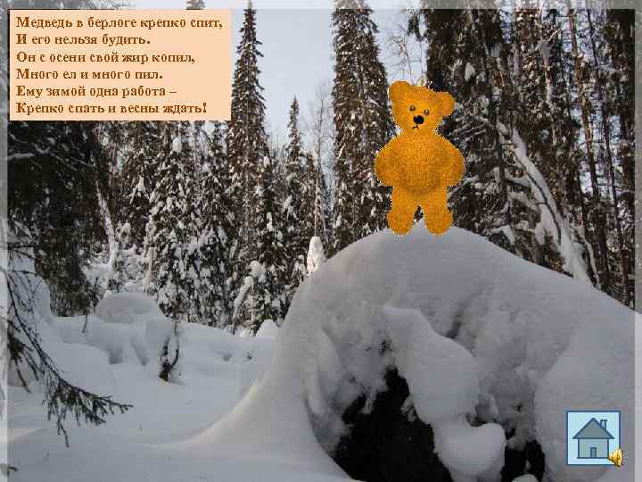 Медведь в берлоге крепко спит, И его нельзя будить. Он с осени свой жир