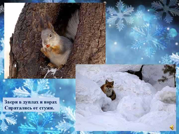 Звери в дуплах и норах Спрятались от стужи. 