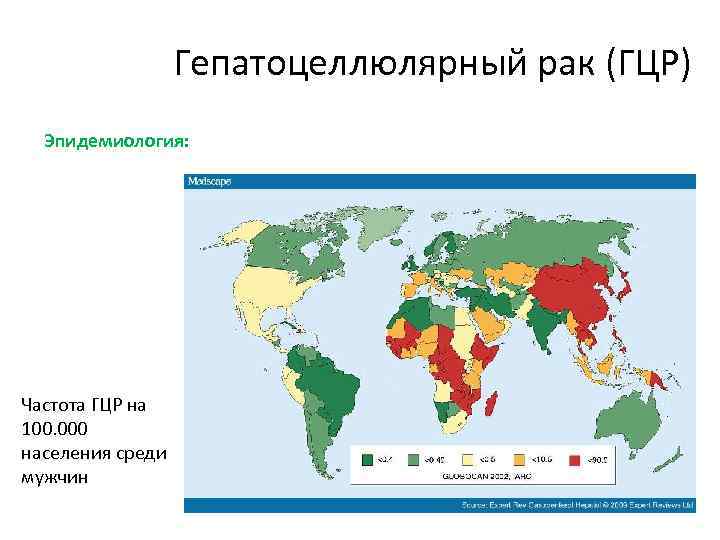 Гепатоцеллюлярный рак (ГЦР) Эпидемиология: Частота ГЦР на 100. 000 населения среди мужчин 