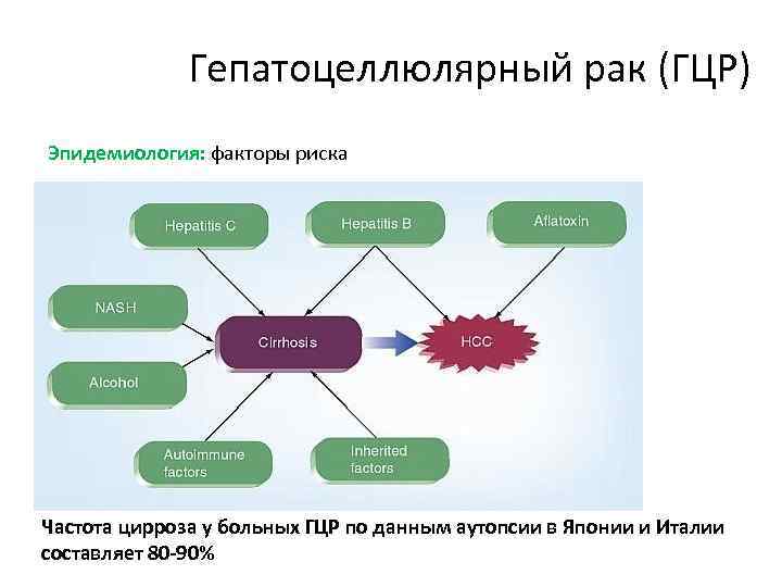 Гепатоцеллюлярный рак (ГЦР) Эпидемиология: факторы риска Частота цирроза у больных ГЦР по данным аутопсии