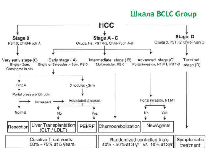 Шкала BCLC Group 