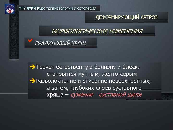 МГУ ФФМ Курс травматологии и ортопедии ДЕФОРМИРУЮЩИЙ АРТРОЗ МОРФОЛОГИЧЕСКИЕ ИЗМЕНЕНИЯ b. ГИАЛИНОВЫЙ ХРЯЩ Теряет