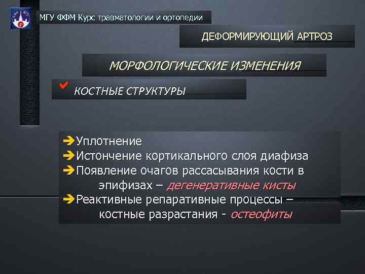 МГУ ФФМ Курс травматологии и ортопедии ДЕФОРМИРУЮЩИЙ АРТРОЗ МОРФОЛОГИЧЕСКИЕ ИЗМЕНЕНИЯ b. КОСТНЫЕ СТРУКТУРЫ Уплотнение