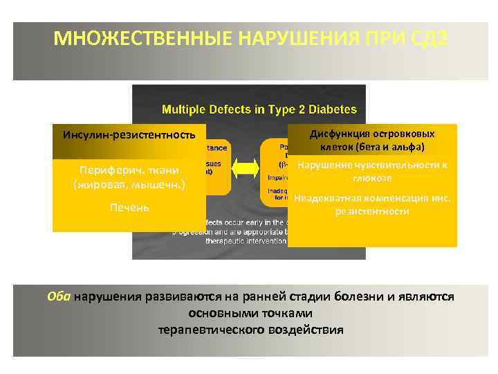 МНОЖЕСТВЕННЫЕ НАРУШЕНИЯ ПРИ СД 2 Инсулин-резистентность Дисфункция островковых клеток (бета и альфа) Периферич. ткани