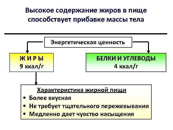 Высокое содержание жиров в пище способствует прибавке массы тела Энергетическая ценность ЖИРЫ 9 ккал/г