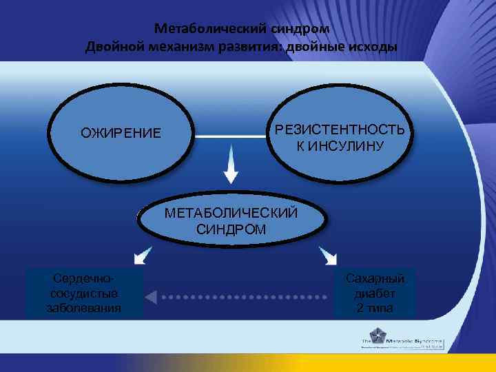 Метаболический синдром Двойной механизм развития: двойные исходы ОЖИРЕНИЕ РЕЗИСТЕНТНОСТЬ К ИНСУЛИНУ МЕТАБОЛИЧЕСКИЙ СИНДРОМ Сердечнососудистые