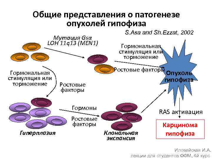 Схема патогенеза опухоли