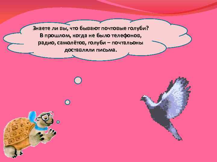 Знаете ли вы, что бывают почтовые голуби? В прошлом, когда не было телефонов, радио,