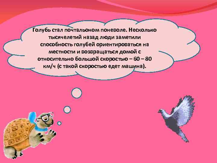 Голубь стал почтальоном поневоле. Несколько тысячелетий назад люди заметили способность голубей ориентироваться на местности