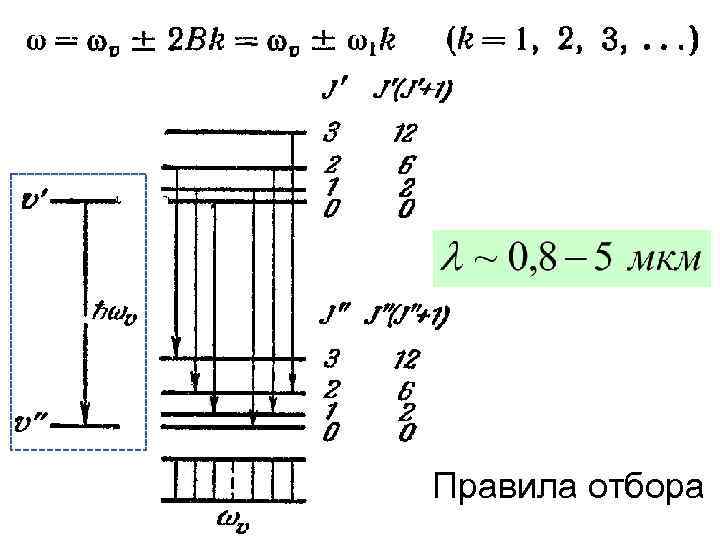 Правила отбора 