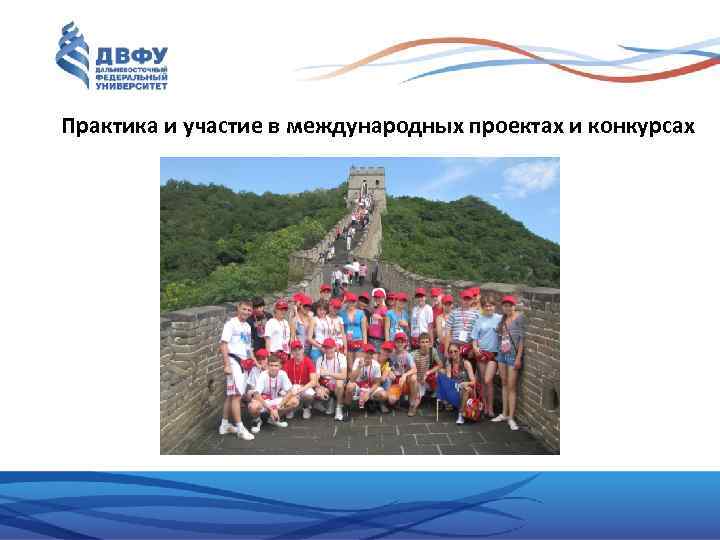 Практика и участие в международных проектах и конкурсах 