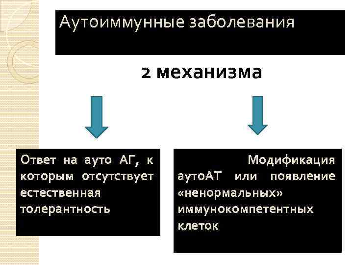 Аутоиммунные заболевания 2 механизма Ответ на ауто АГ, к которым отсутствует естественная толерантность Модификация