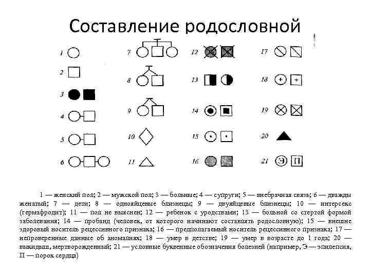 Составление родословной 1 — женский пол; 2 — мужской пол; 3 — больные; 4