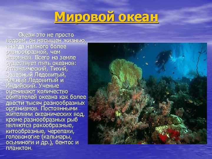 Мировой океан Океан это не просто водоем, он насыщен жизнью, иногда намного более разнообразной,