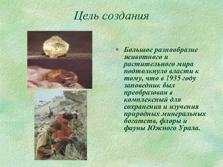 Цель создания § Большое разнообразие животного и растительного мира подтолкнуло власти к тому, что