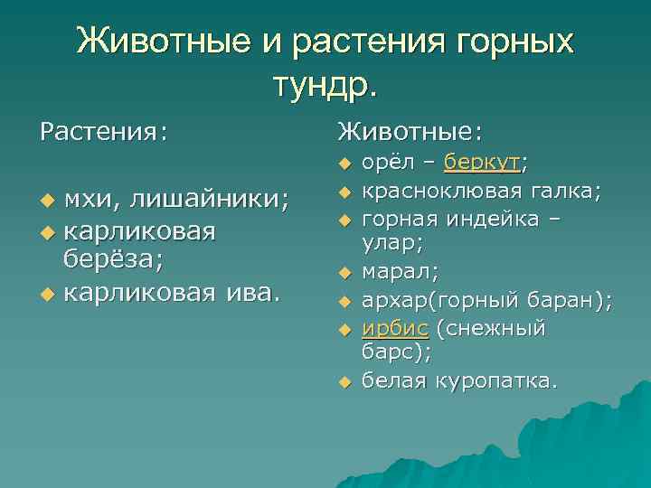 Животные и растения горных тундр. Растения: Животные: u мхи, лишайники; u карликовая берёза; u