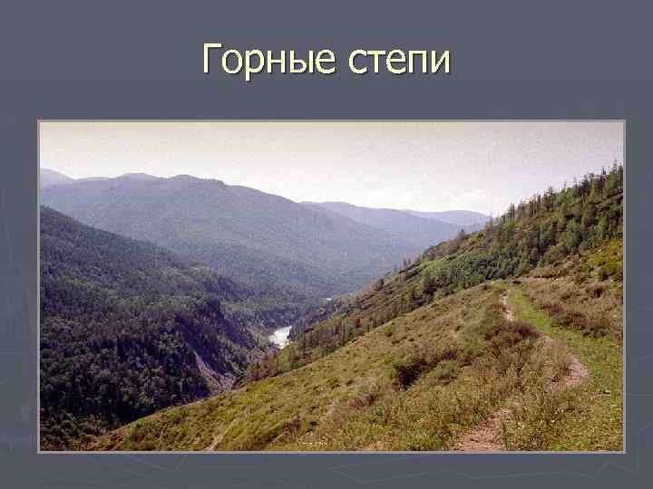 Горные степи 