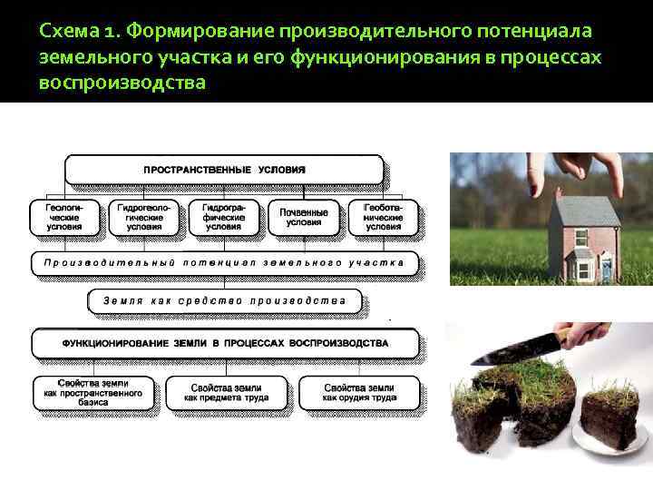 Схема 1. Формирование производительного потенциала земельного участка и его функционирования в процессах воспроизводства 