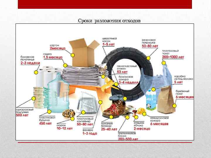 Сроки разложения отходов 