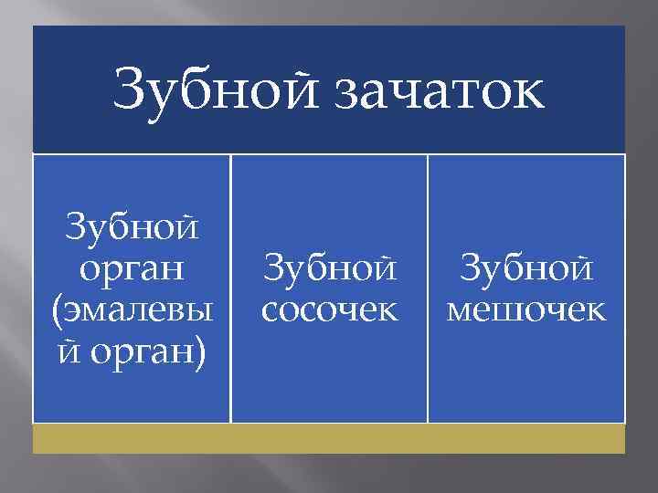 Зубной зачаток Зубной орган (эмалевы й орган) Зубной сосочек Зубной мешочек 