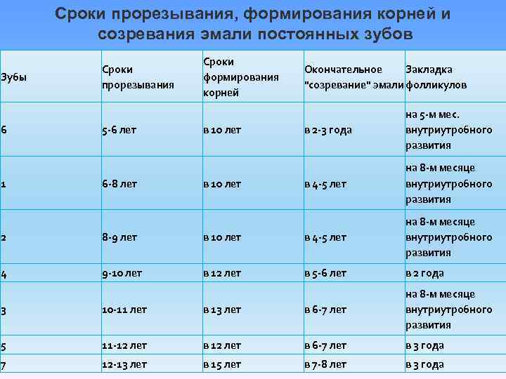 Сроки прорезывания, формирования корней и созревания эмали постоянных зубов Зубы 6 1 Сроки прорезывания