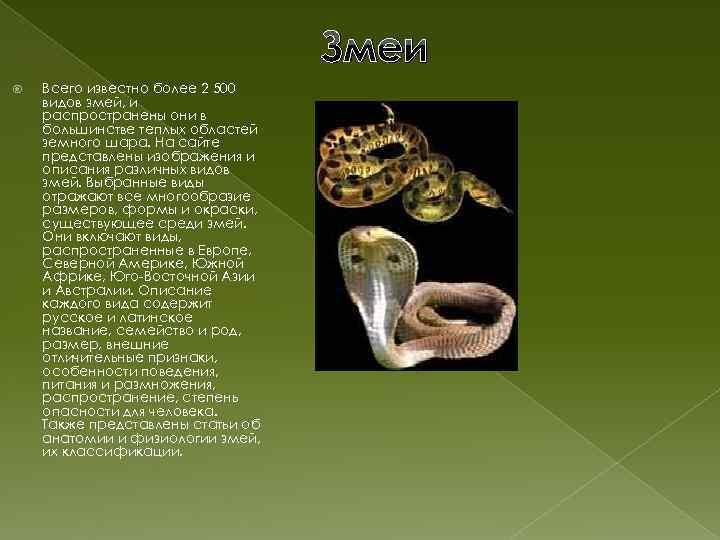 Змеи Всего известно более 2 500 видов змей, и распространены они в большинстве теплых