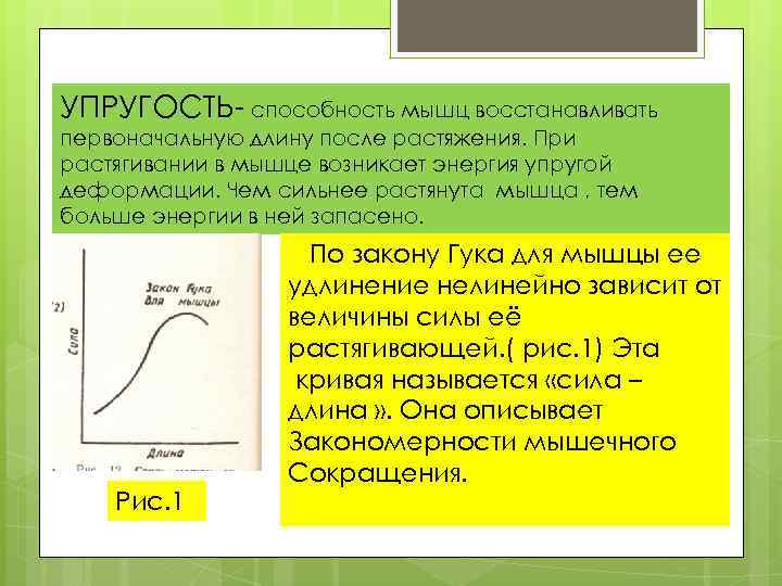 Упругость волос от чего зависит