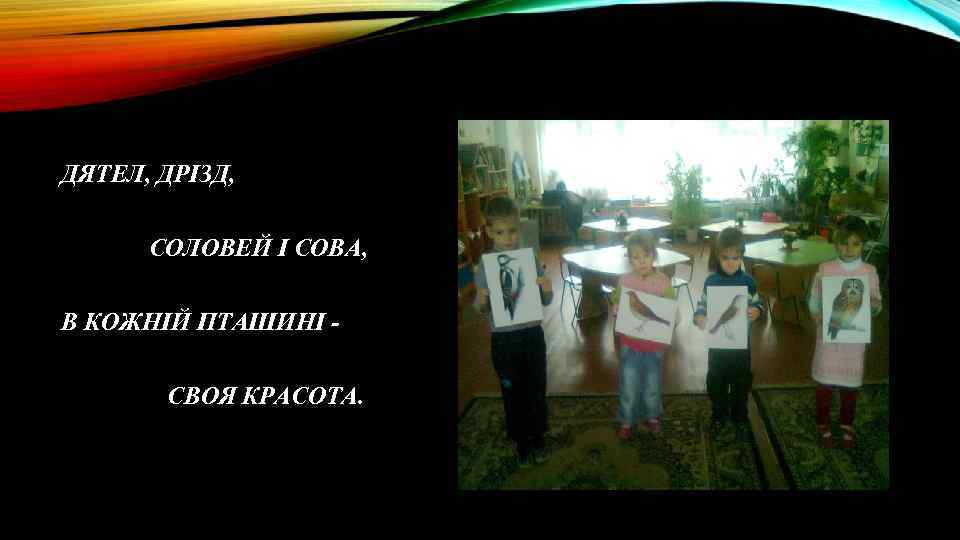 ДЯТЕЛ, ДРІЗД, СОЛОВЕЙ І СОВА, В КОЖНІЙ ПТАШИНІ СВОЯ КРАСОТА. 